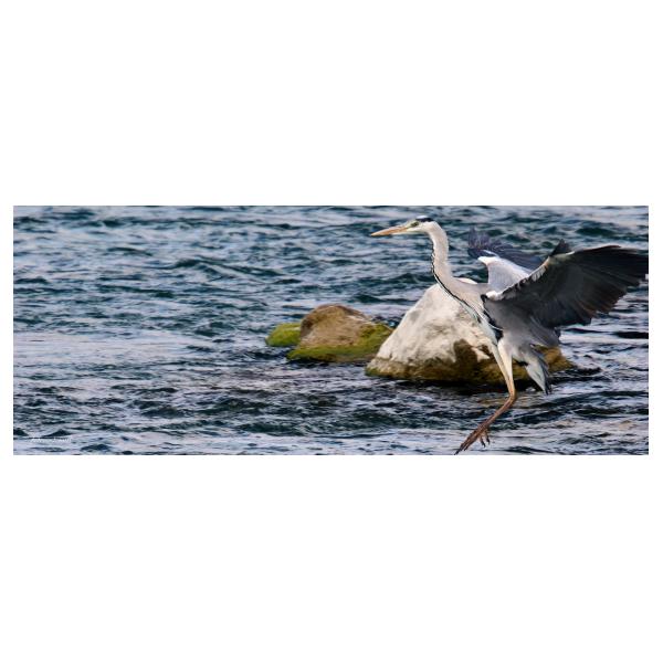 PHOTO84, CLUB, 84 , LUBERON